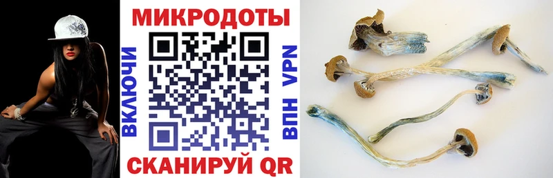 площадка состав  Ленинск  Псилоцибиновые грибы мухоморы  mega зеркало 