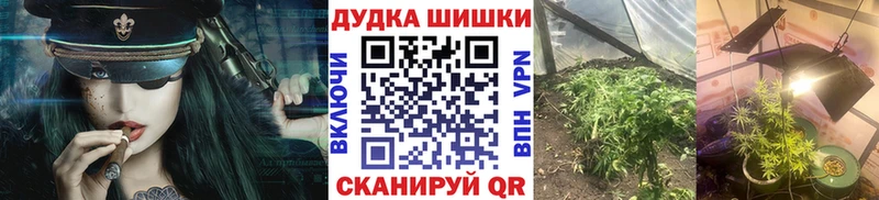 где купить наркоту  Ленинск  Шишки марихуана планчик 